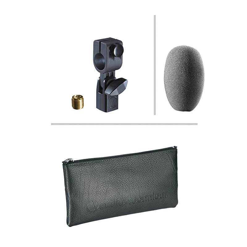 AE5100 Cardioid Condenser Instrument Microphone