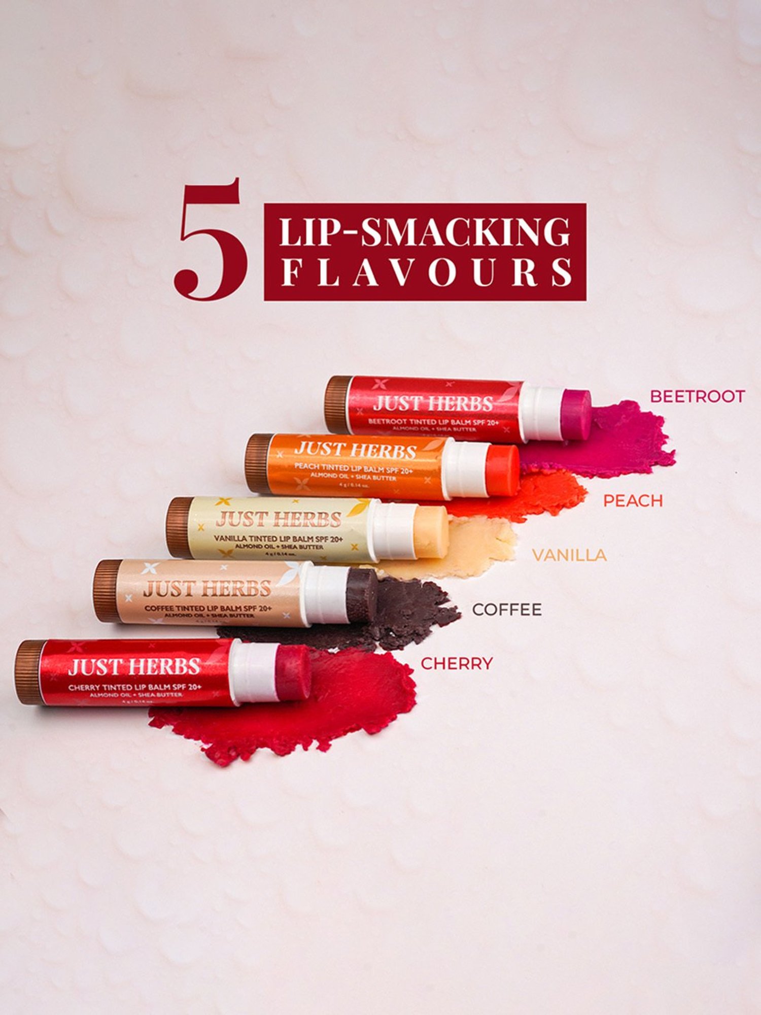 Earthraga Spiced Chai Organic Lip Balm - 4 gm