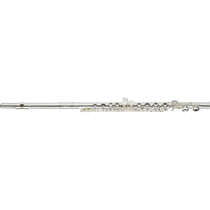 Allora AFL-250 Student Series Flute Offset G C-Foot