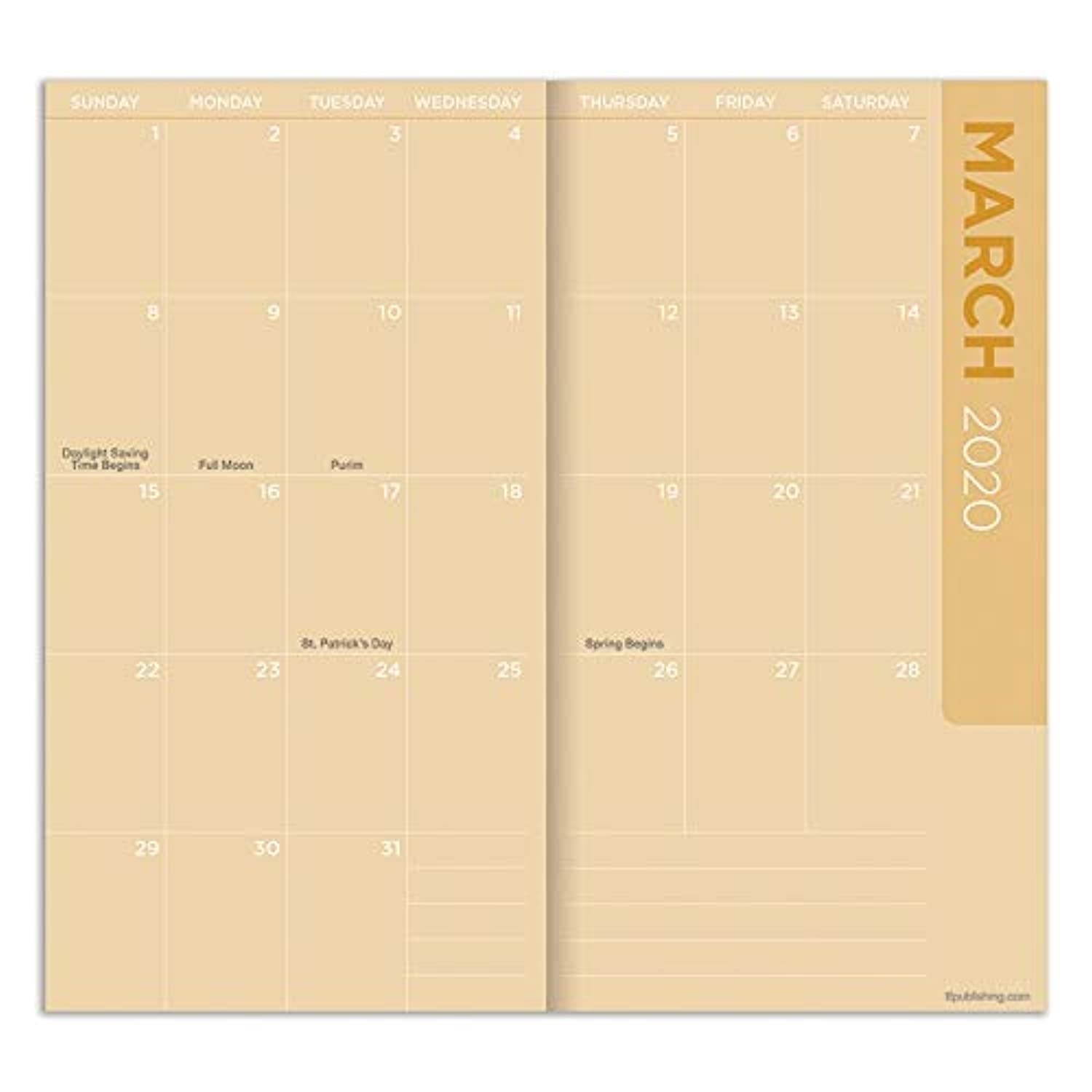 2020-2021 Kittens 2-Year Small Monthly Planner