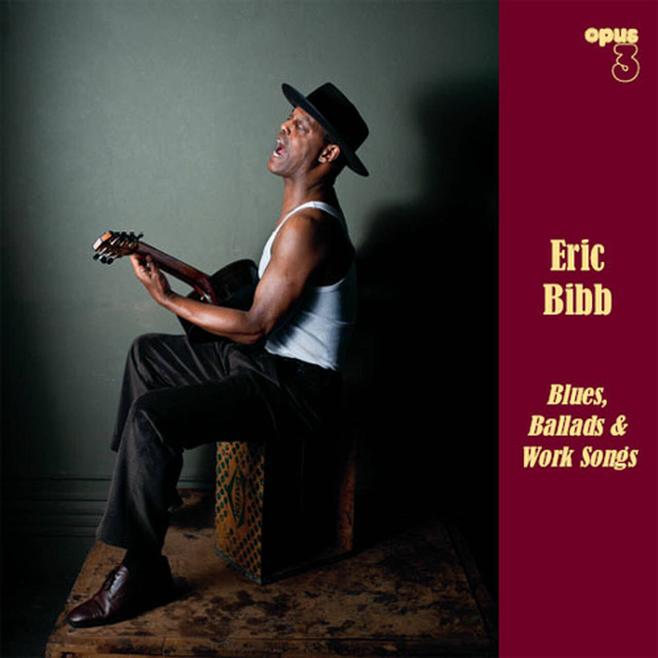 Eric Bibb Blues, Ballads & Work Songs 180g LP (Vinyl)