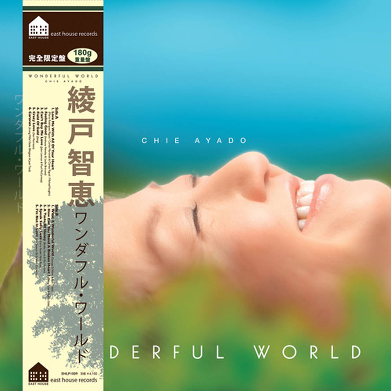 Chie Ayado Wonderful World 180g LP (Vinyl)