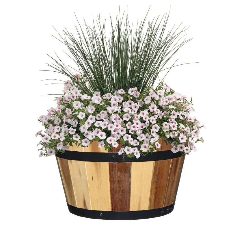 Set of 2 Acacia Whiskey Barrel Planter - Classic Home and Garden