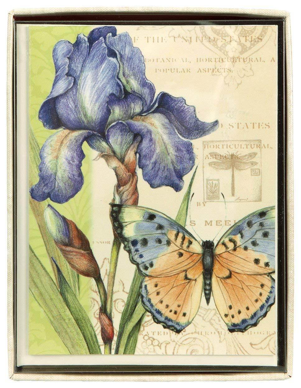 C.R. Gibson Blank Boxed Note Cards, 10-Count With Coordinating Envelopes, Measures 5" x 3.75" - Eden