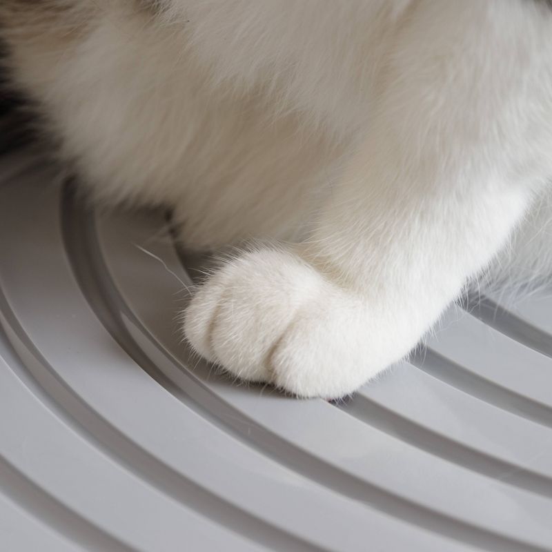 IRIS Top Entry Cat Litter Box with Cat Litter Scoop - Black & Gray