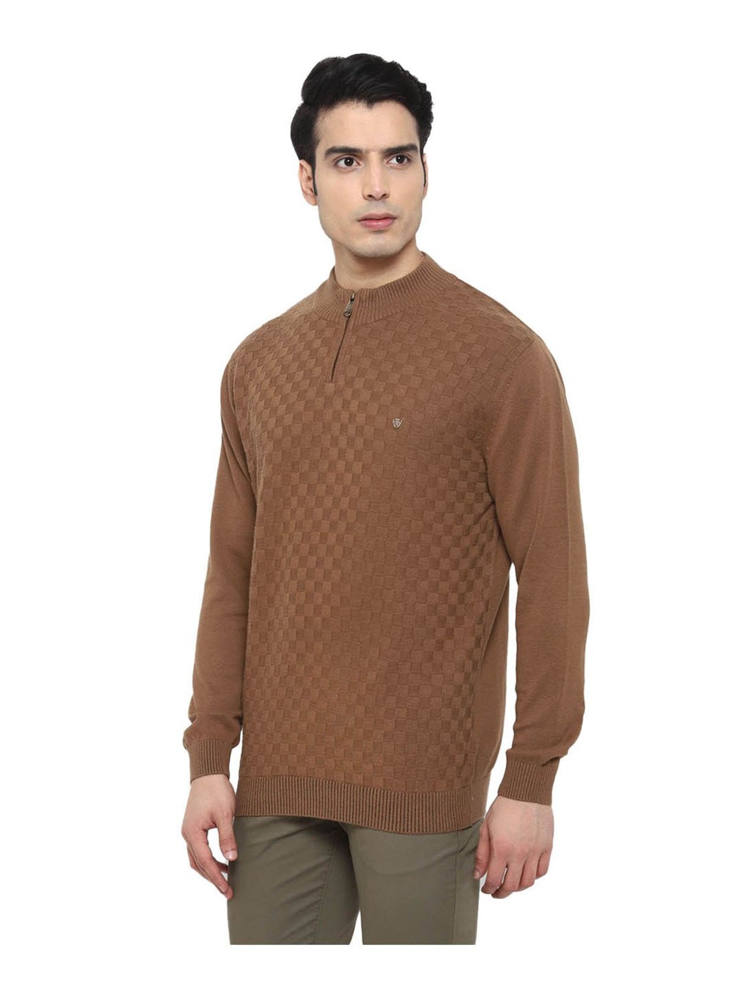 Turtle Brown Regular Fit Pullover
