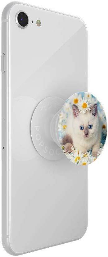 PopSockets PopTop (Top only. Base Sold Separately.): Swappable Top for PopGrip Bases, PopGrip Slide, Otter+Pop & PopWallet+ - Purr-FECT Flower