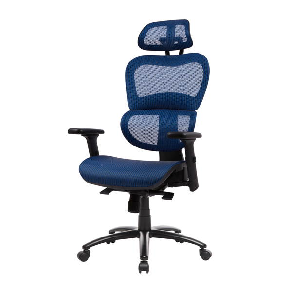 Ergonomic Office Chair Mesh Chair Computer Chair Desk Chair High Back Chair with Adjustable Headrest and Armrest