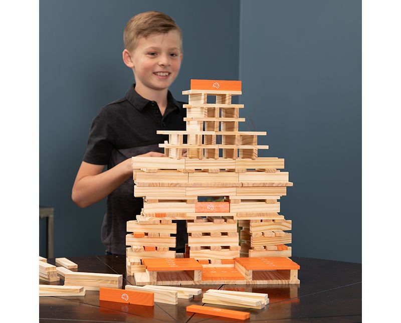  Fat Brain Toys Timber FB208-1 300 Piece Set