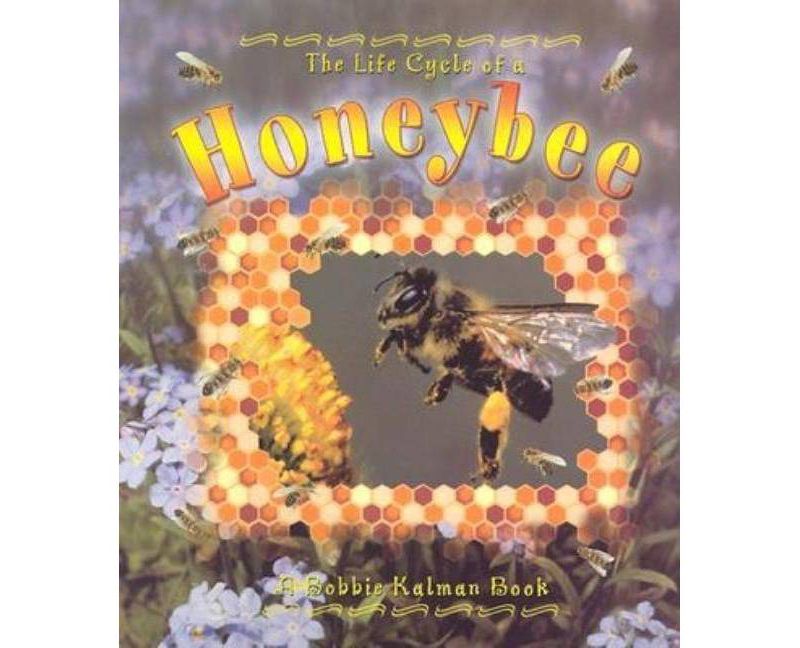 Honeybee - (Life Cycle of A...(Paperback)) by  Bobbie Kalman (Paperback)