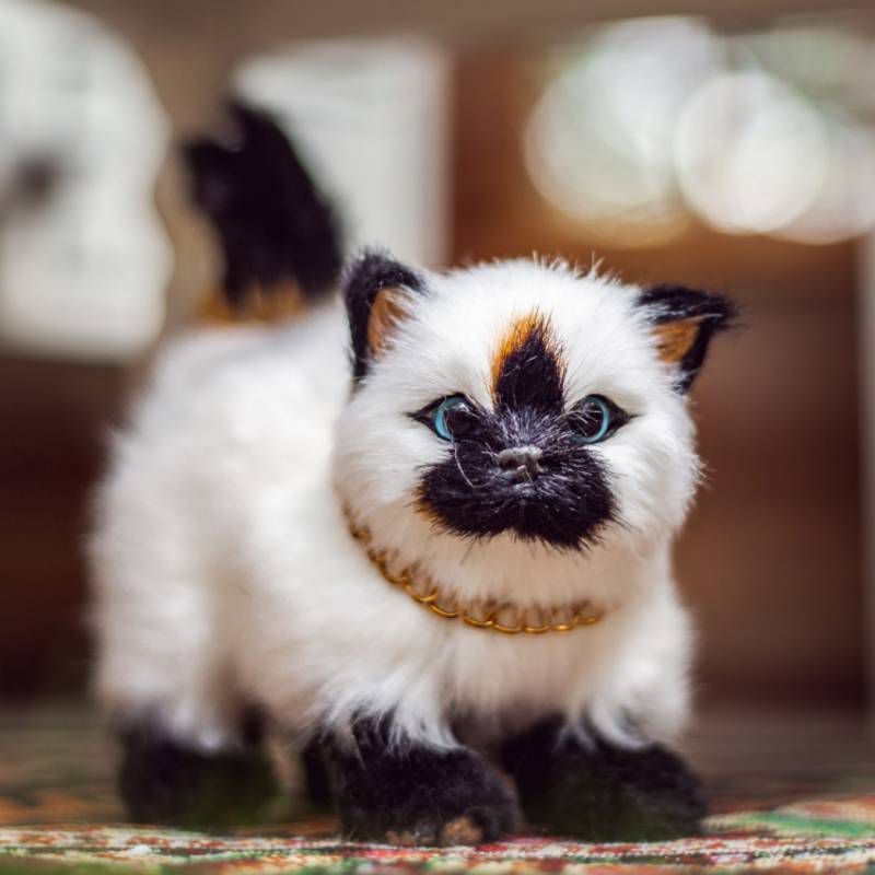 The Queen's Treasures 18" Doll Pet Accessory - Blue Eyed Siamese Kitty Cat