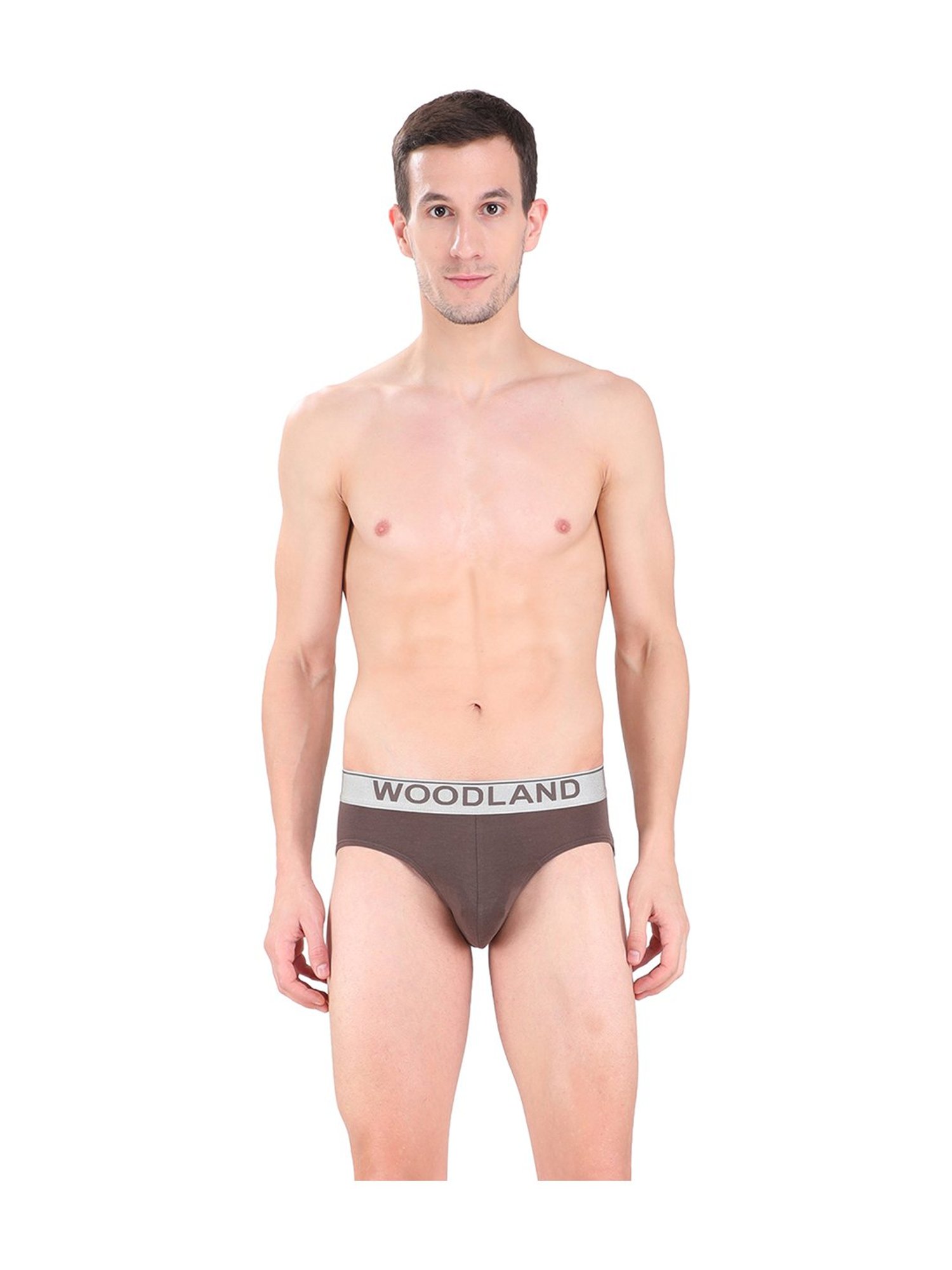 Woodland Brown Printed Briefs