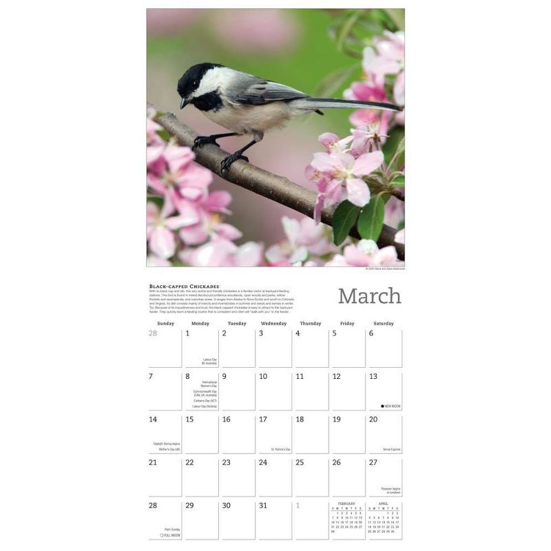 Sellers Publishing 2021 Songbirds of North America 16-Month Wall Calendar Sellers Publishing
