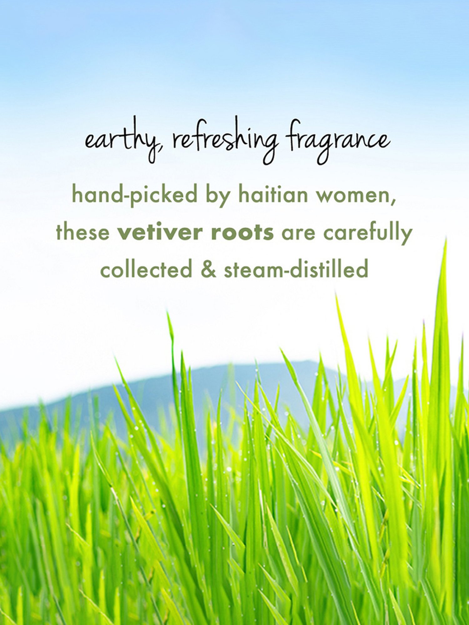 Love Beauty & Planet Tea Tree Oil, Peppermint & Vetiver Scalp Purify Conditioner - 200 ml