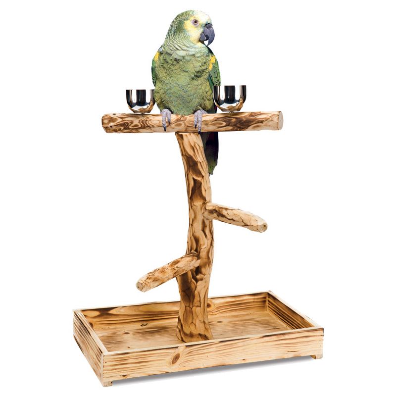Bird Life Wooden Bird Climber for Large Birds - 15"