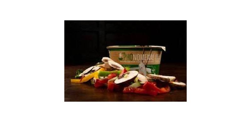 Phonomenal Soup Pho Veggie - 2.1oz