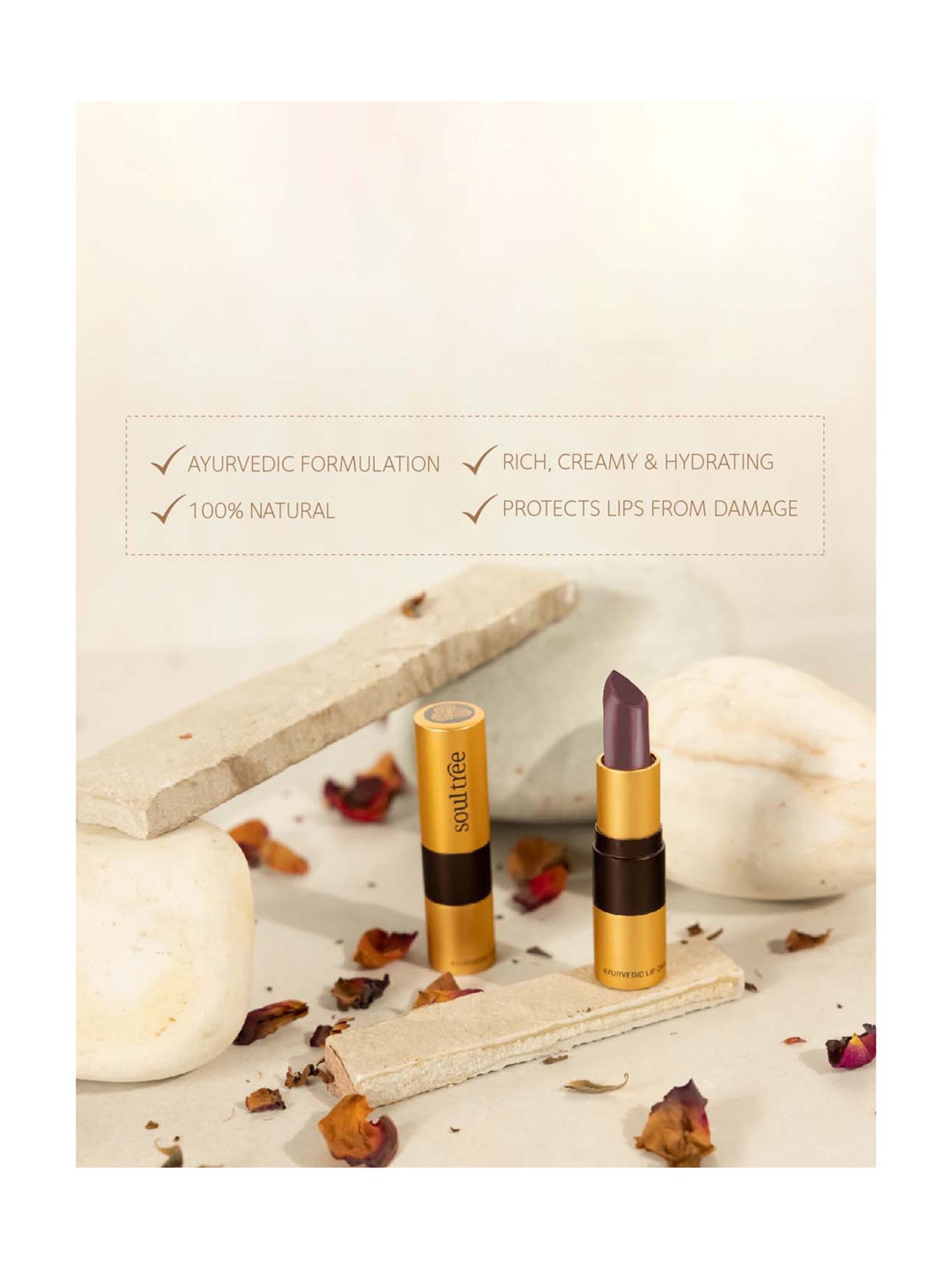 SoulTree Ayurvedic Lipstick - Cocoa Rich 906 - 4 gm | Organic Lipstick