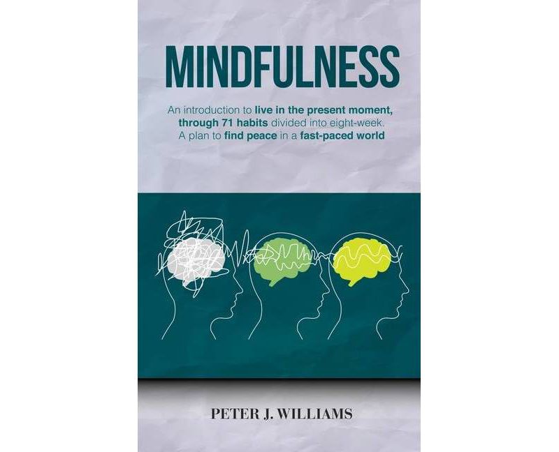 Mindfulness - by  Peter J Williams (Paperback)