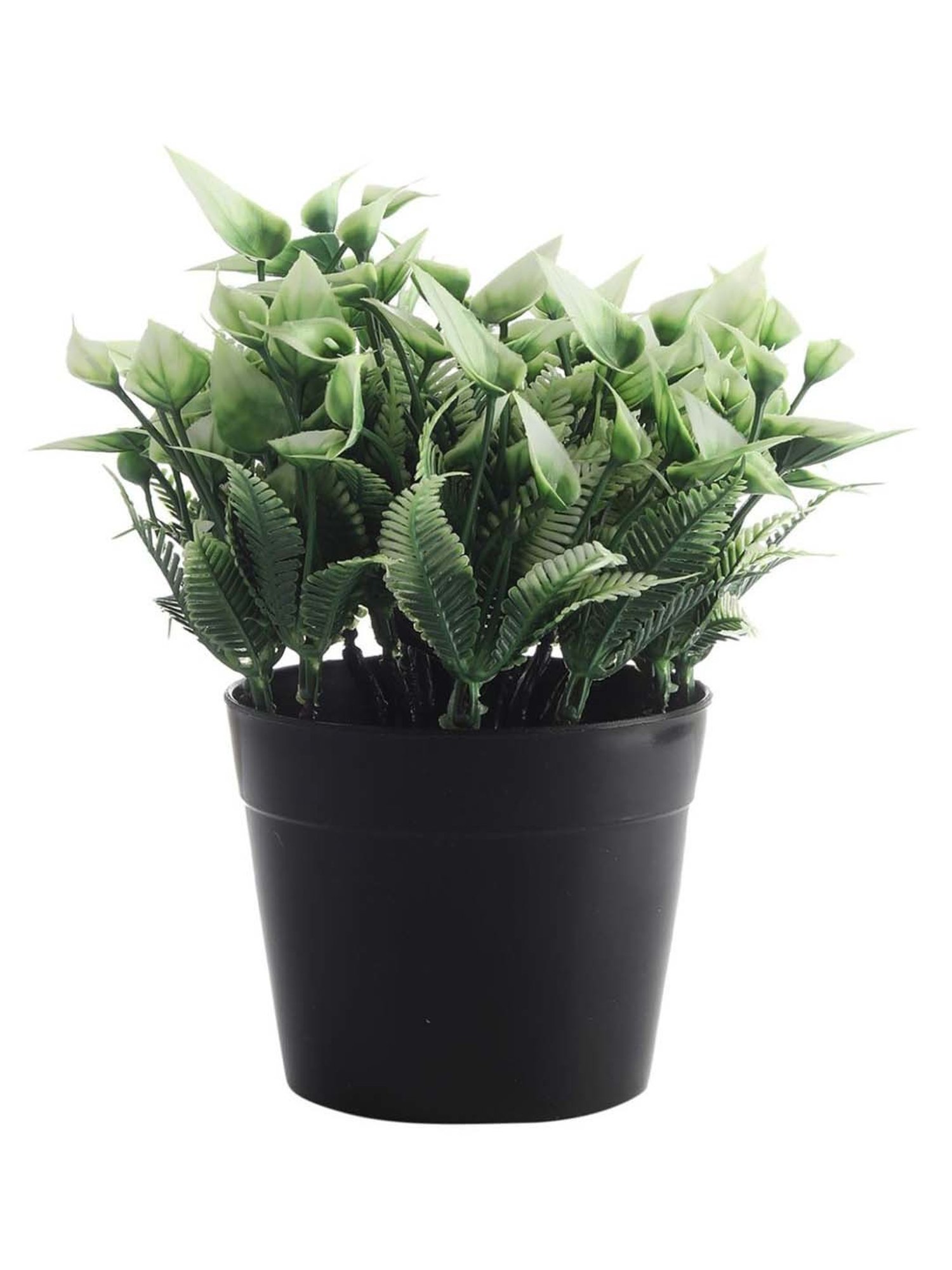 Foliyaj Multicolor Plastic Artificial Plant - Set of 2