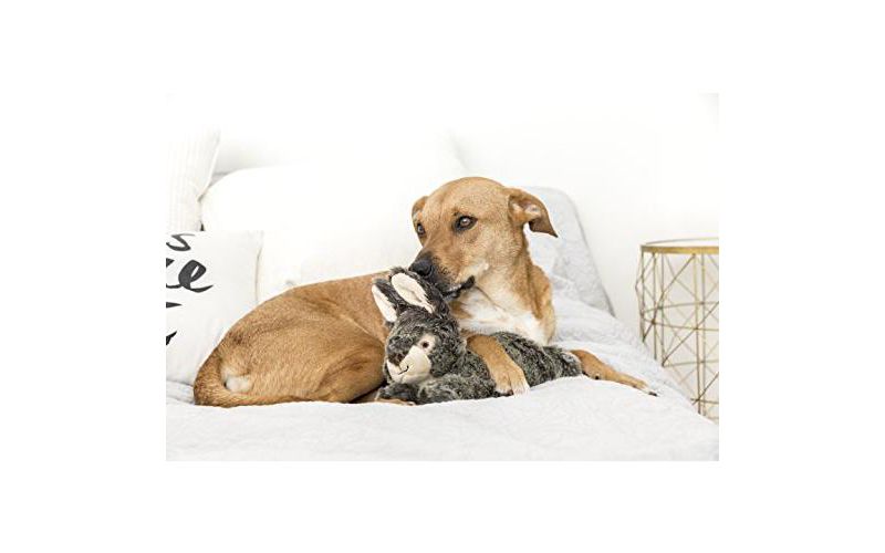 Fluff & Tuff Walter the Wabbit, Large Rabbit Plush Dog Toy with Squeaker