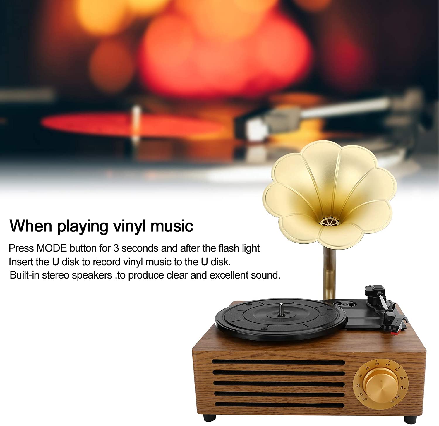Vintage Petunias Record Player Bluetooth Turntable with 3 Built in Stereo Speakers USB Recording Phonograph