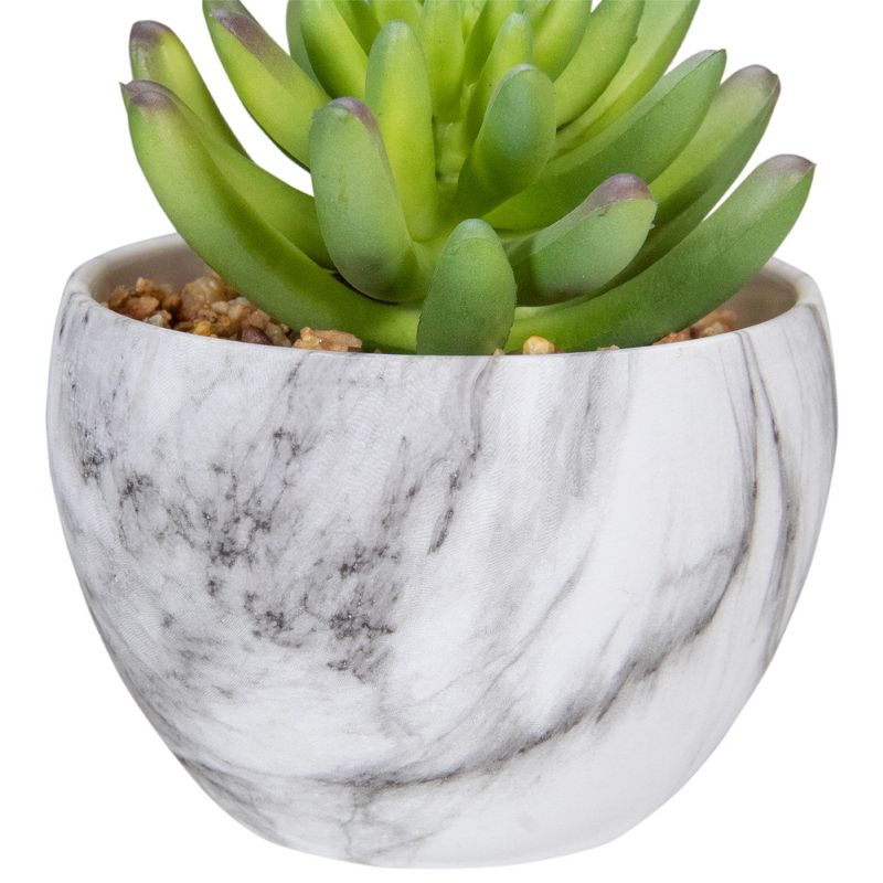 Northlight 4.25" Green Artificial Succulent in Faux Marble Pot