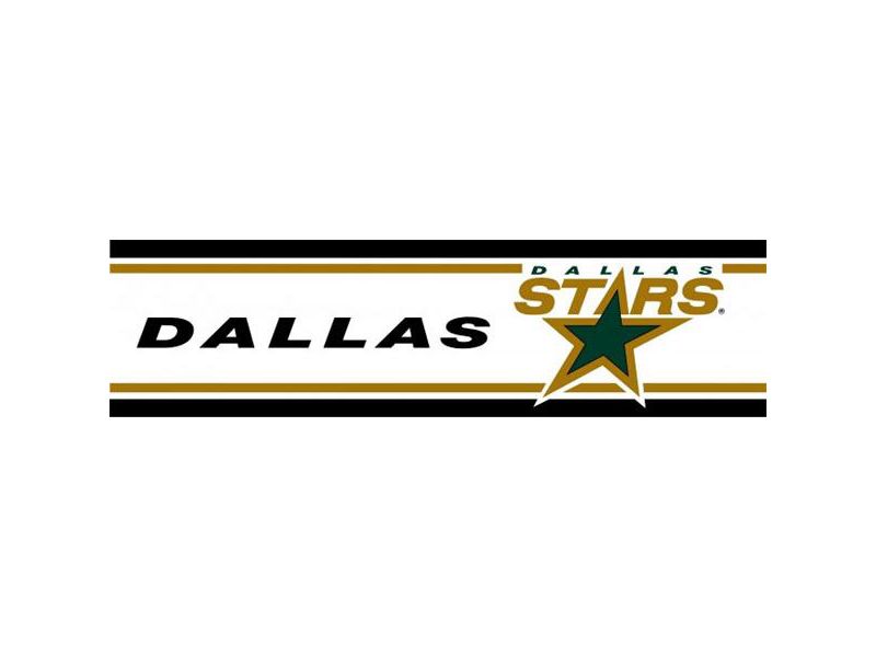 NHL Prepasted Hockey Wall Border Roll - Dallas Stars..