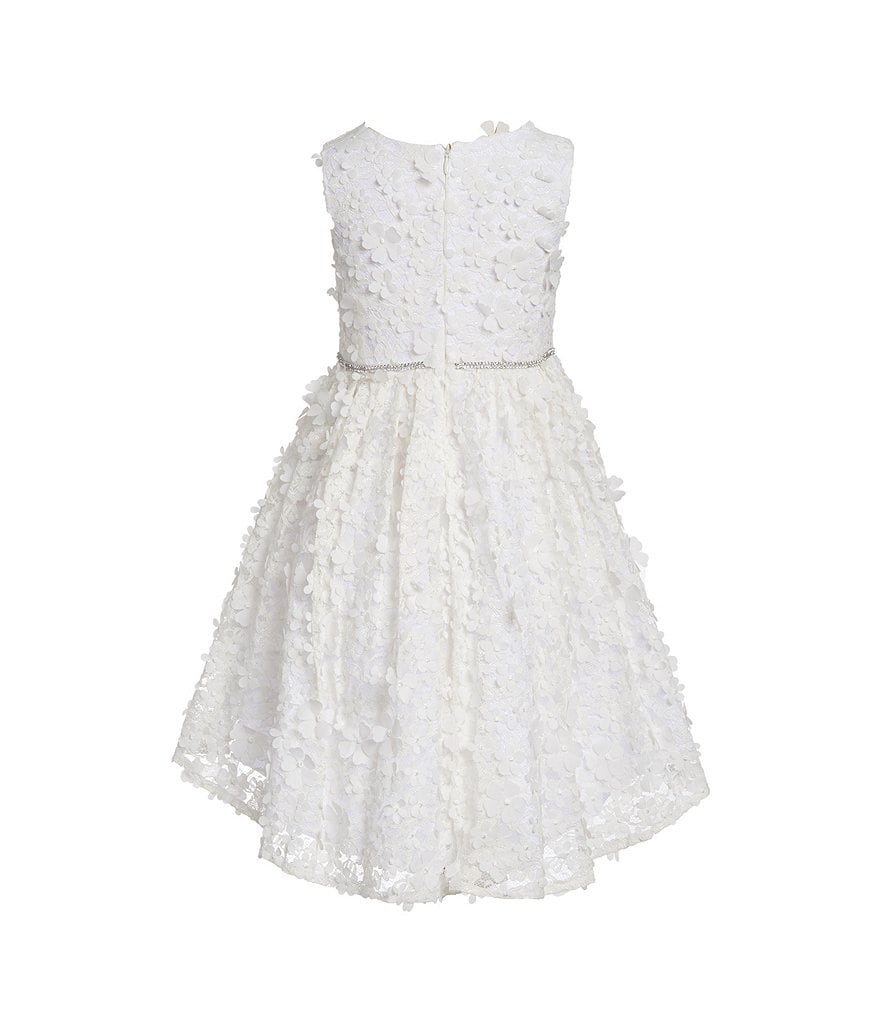 Badgley Mischka Little Girls 4-6X 3D Floral Hi-Low Dress