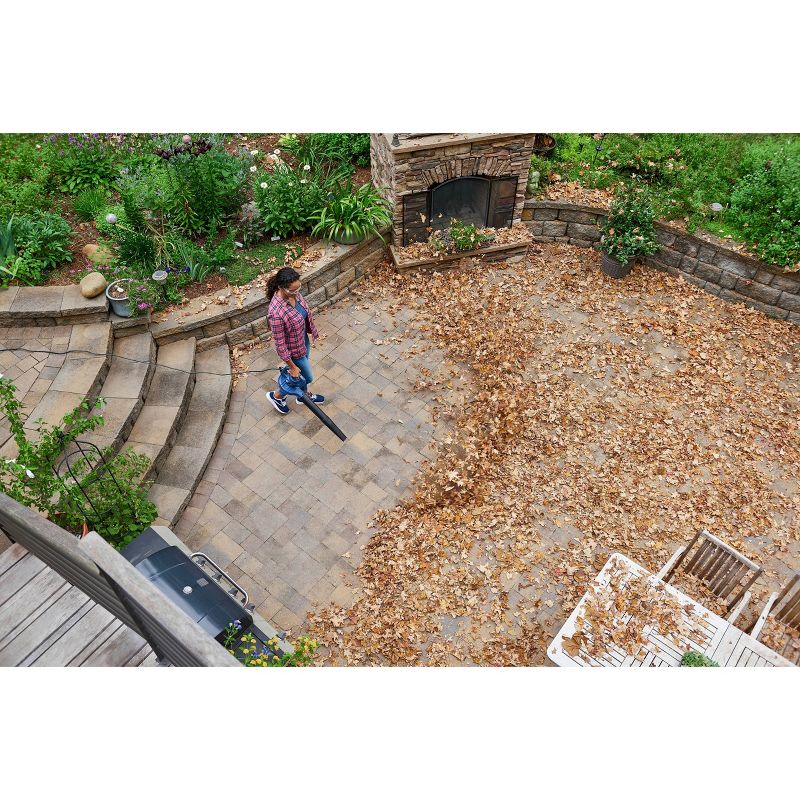 Blue Ridge 7.5A Leaf Blower