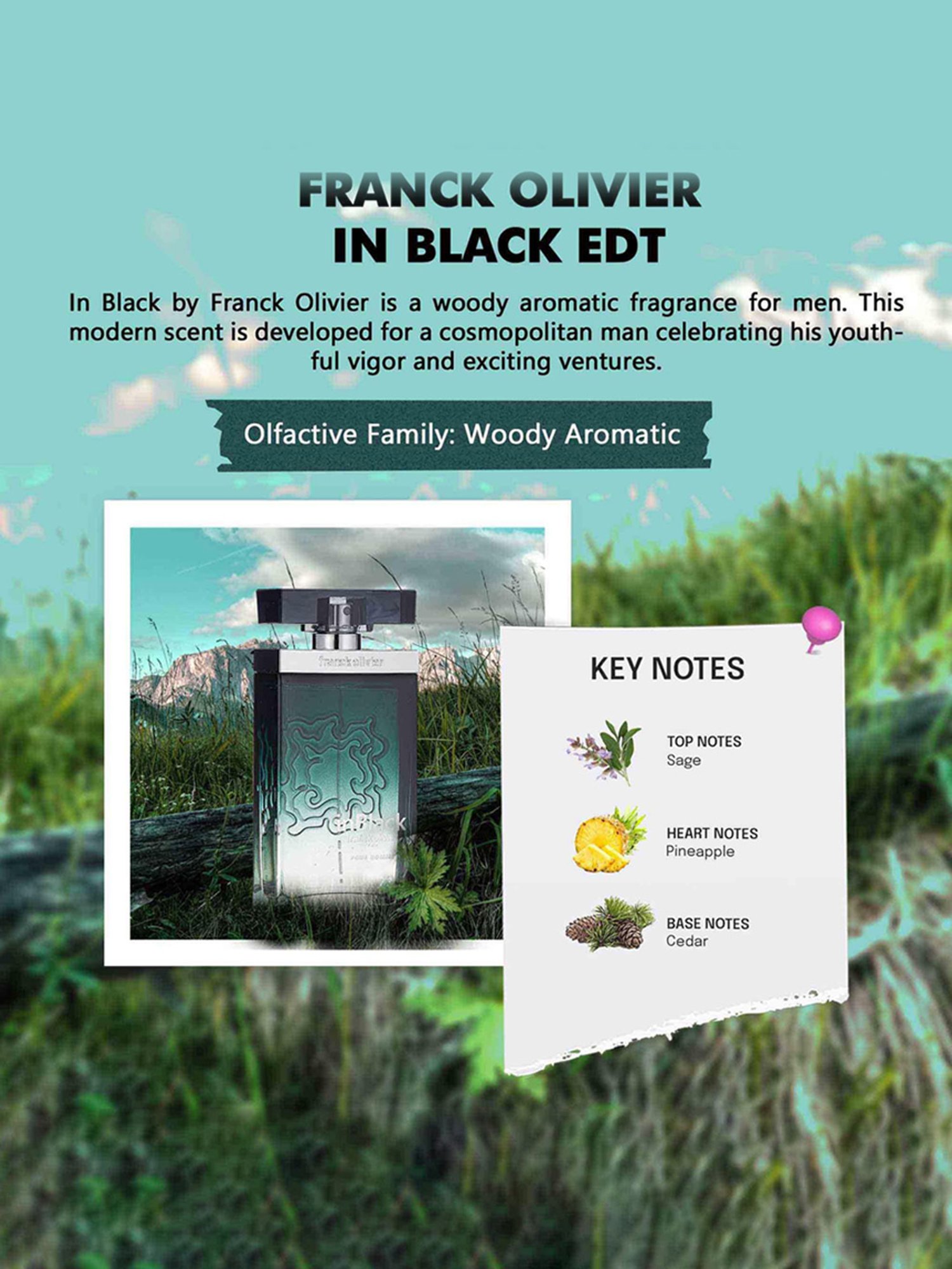 Franck Olivier In Black Eau de Toilette for Men - 75 ml