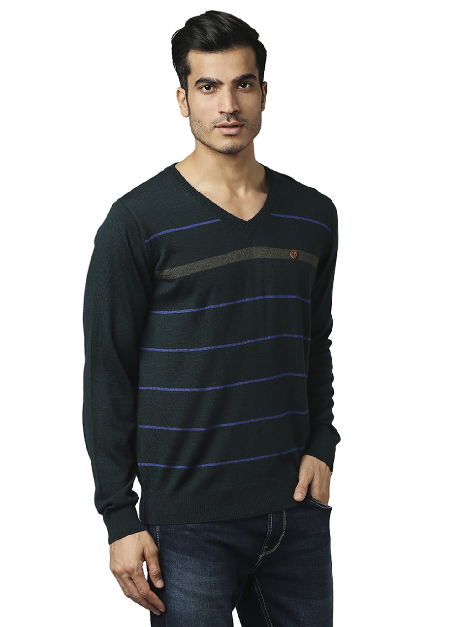 Raymond Green  Regular Fit Striped Sweaters