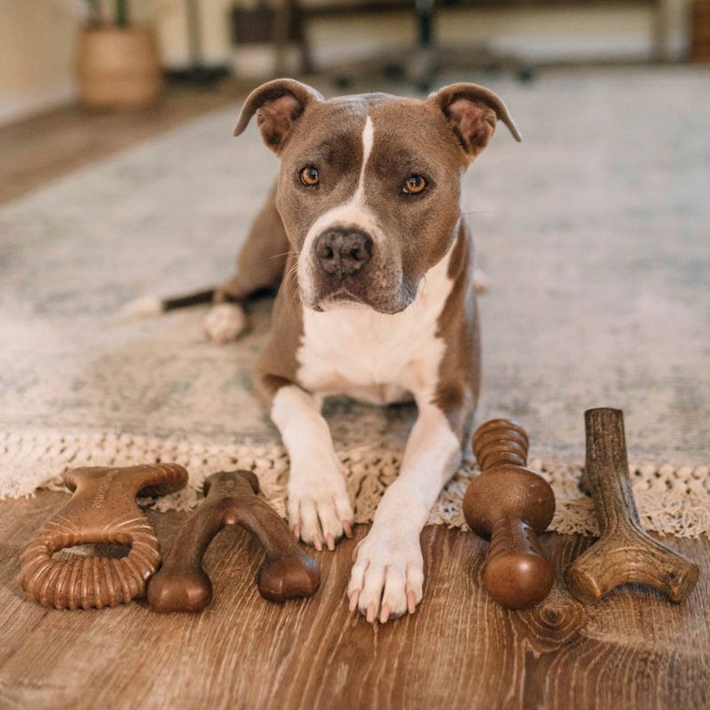 Benebone Multipack Dog Chew Toy - 4pk