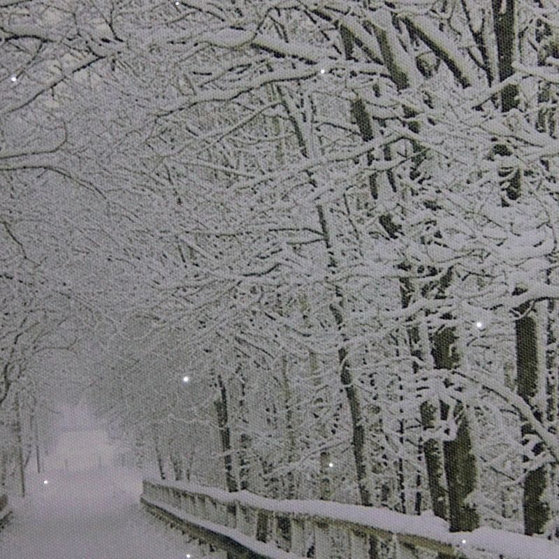 Northlight Large Fiber Optic Lighted Winter Wooden Bridge Canvas Wall Art 23.5" x 15.5"