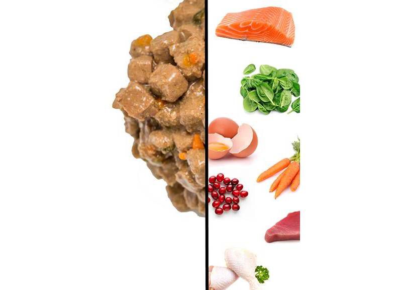 I and Love and You Chicky-Da-Lish Stew Wet Cat Food - 3oz