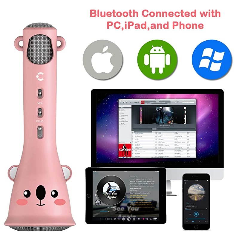 Karaoke Microphone for KidsWireless Microphones Kids Karaoke Machine with Speaker Wireless Echo Voice Recording
