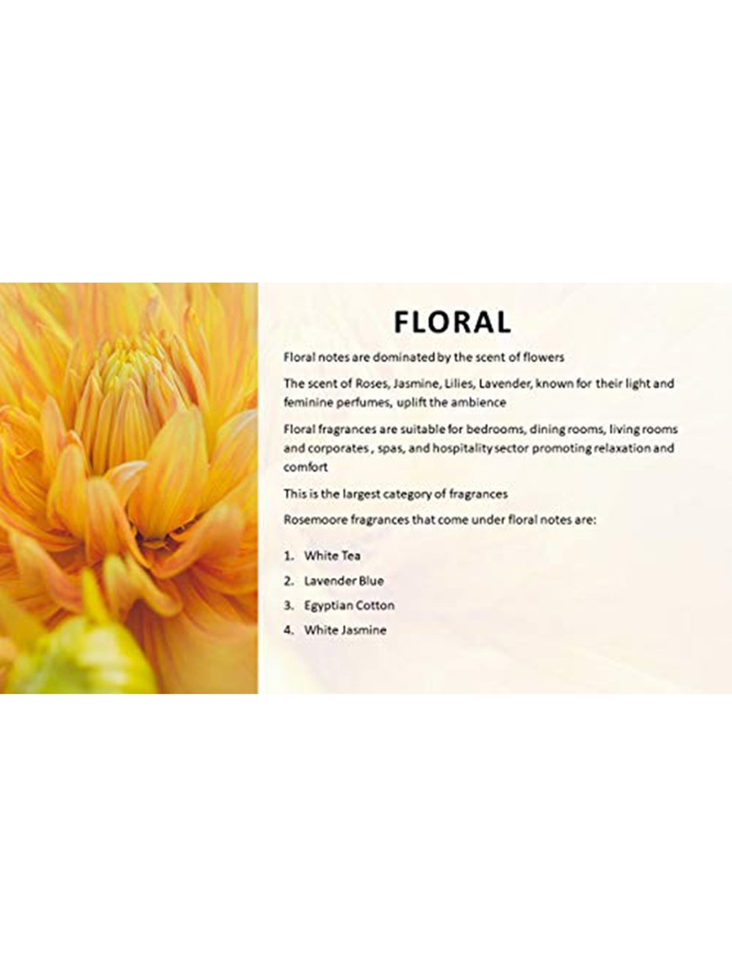 IRIS Red Amber Rose Vaporizer Oil - 50 ml