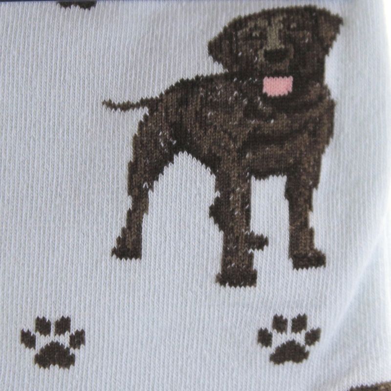 Novelty Socks 14.0" Chocolate Labrador Socks. Happy Tails E & S Pet  -  Socks