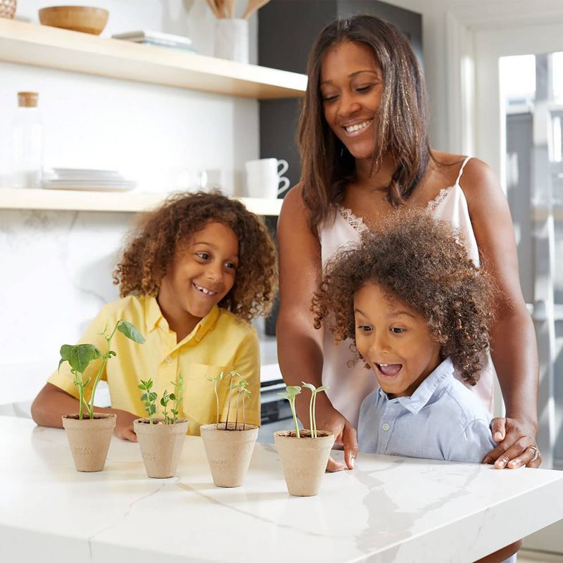 Back to the Roots Kids' Science Grow Kit - Bean