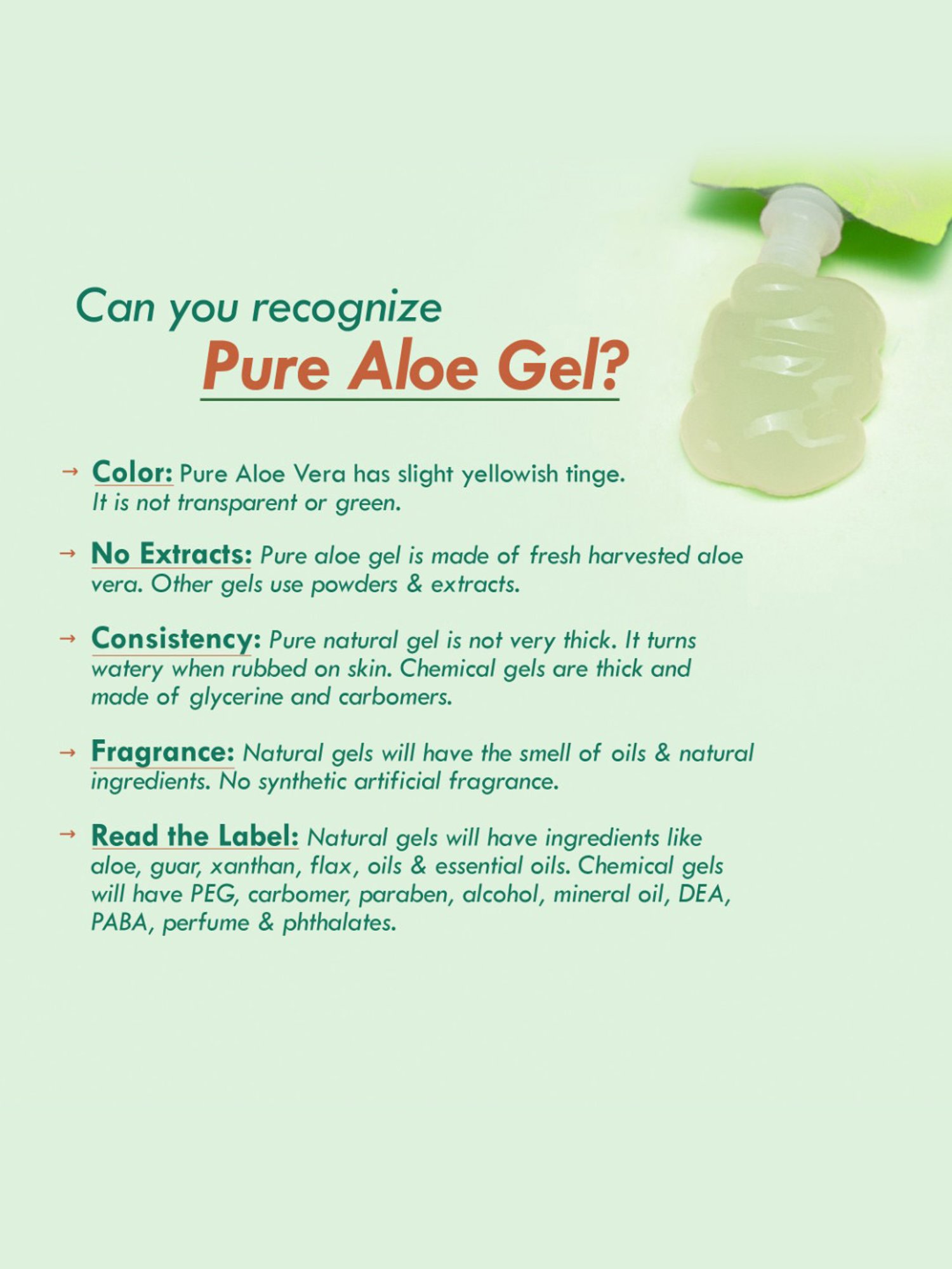 Nat Habit Fresh Pure Aloe Vera Gel - Pack of 2