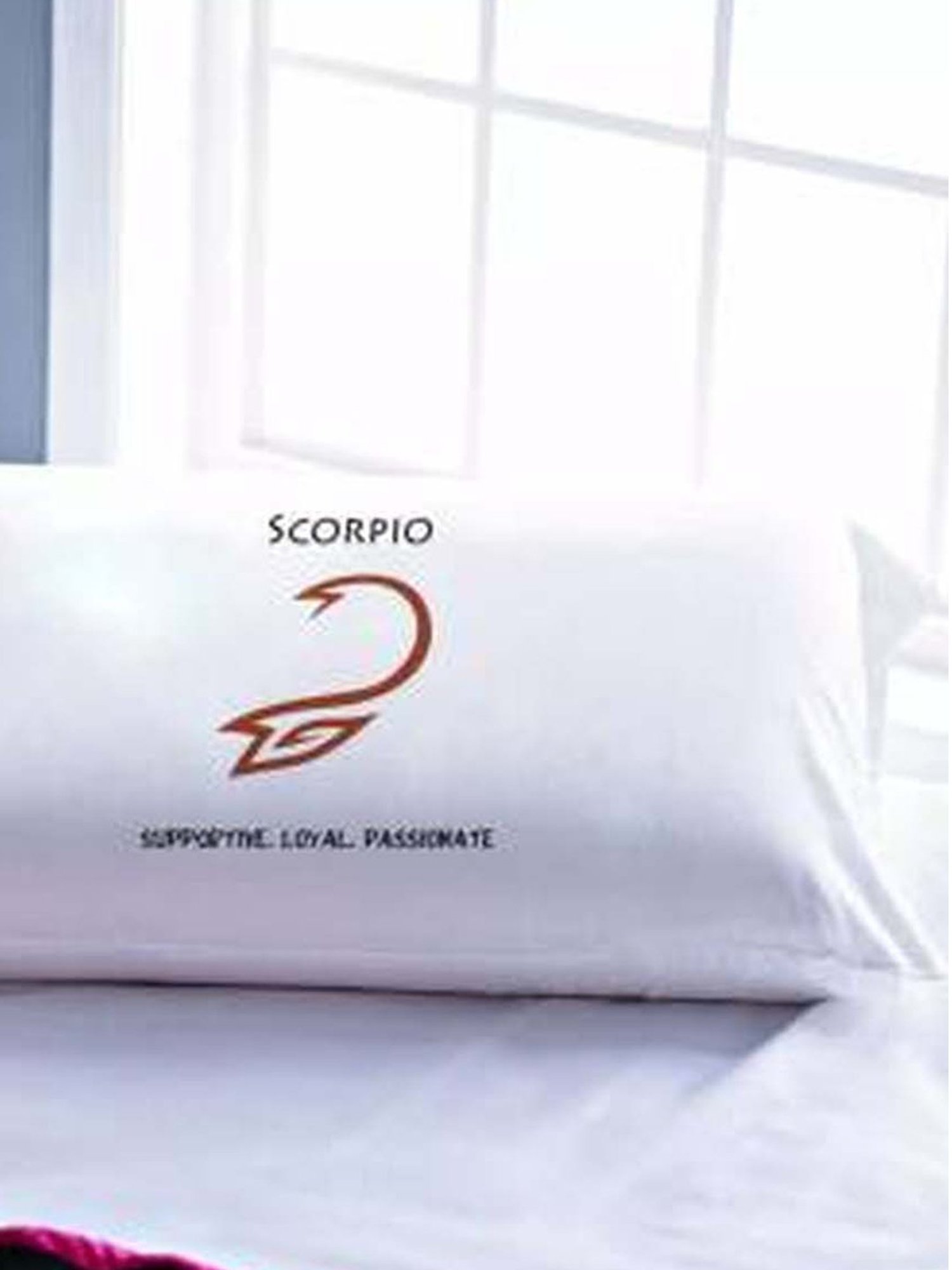 Stoa Paris White & Brown Cotton 200 TC Pillow Cover - Set of 1