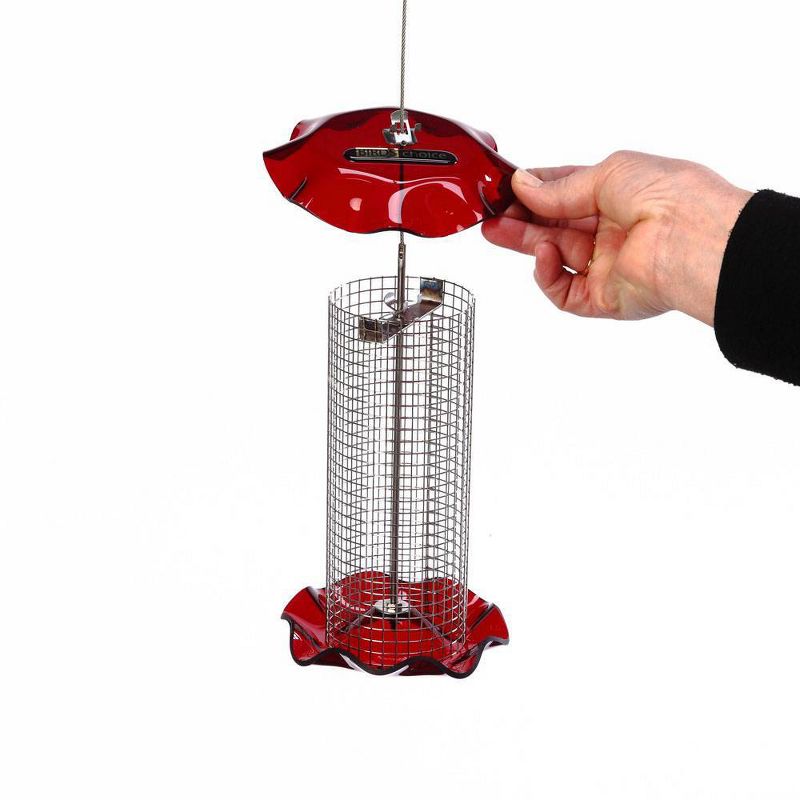 Birds Choice 1qt Forever Black Oil Sunflower Bird Feeder - Red