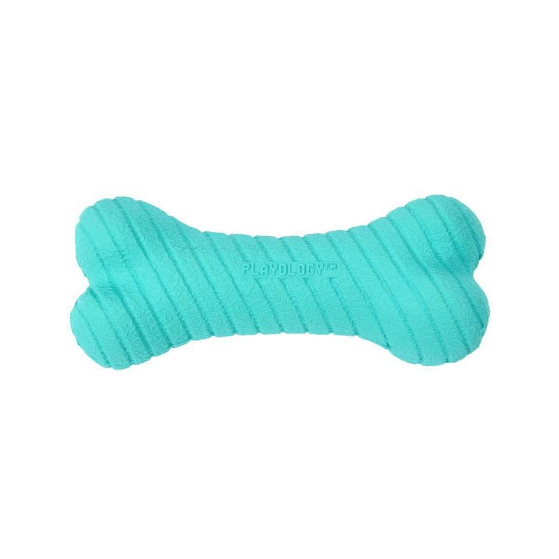 Playology Peanut Butter Scent Bone Dog Toy - Blue - S