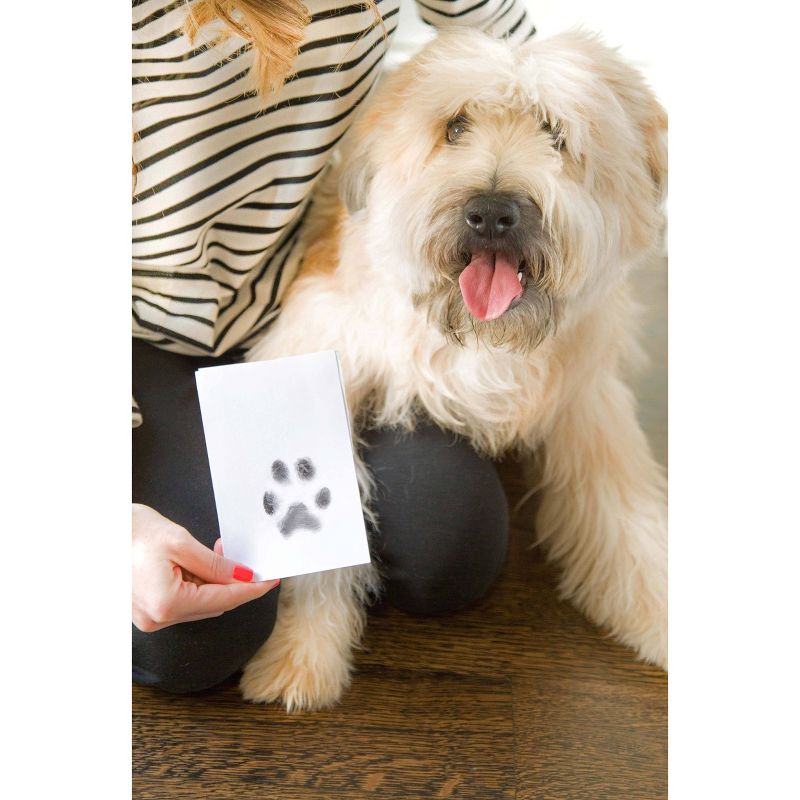 Pearhead Clean-Touch Ink Pad