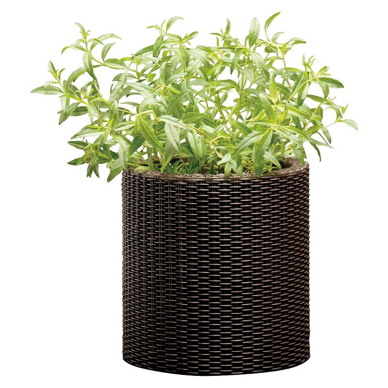 Cylinder Rattan Planter Set Of 3 - Brown - Keter
