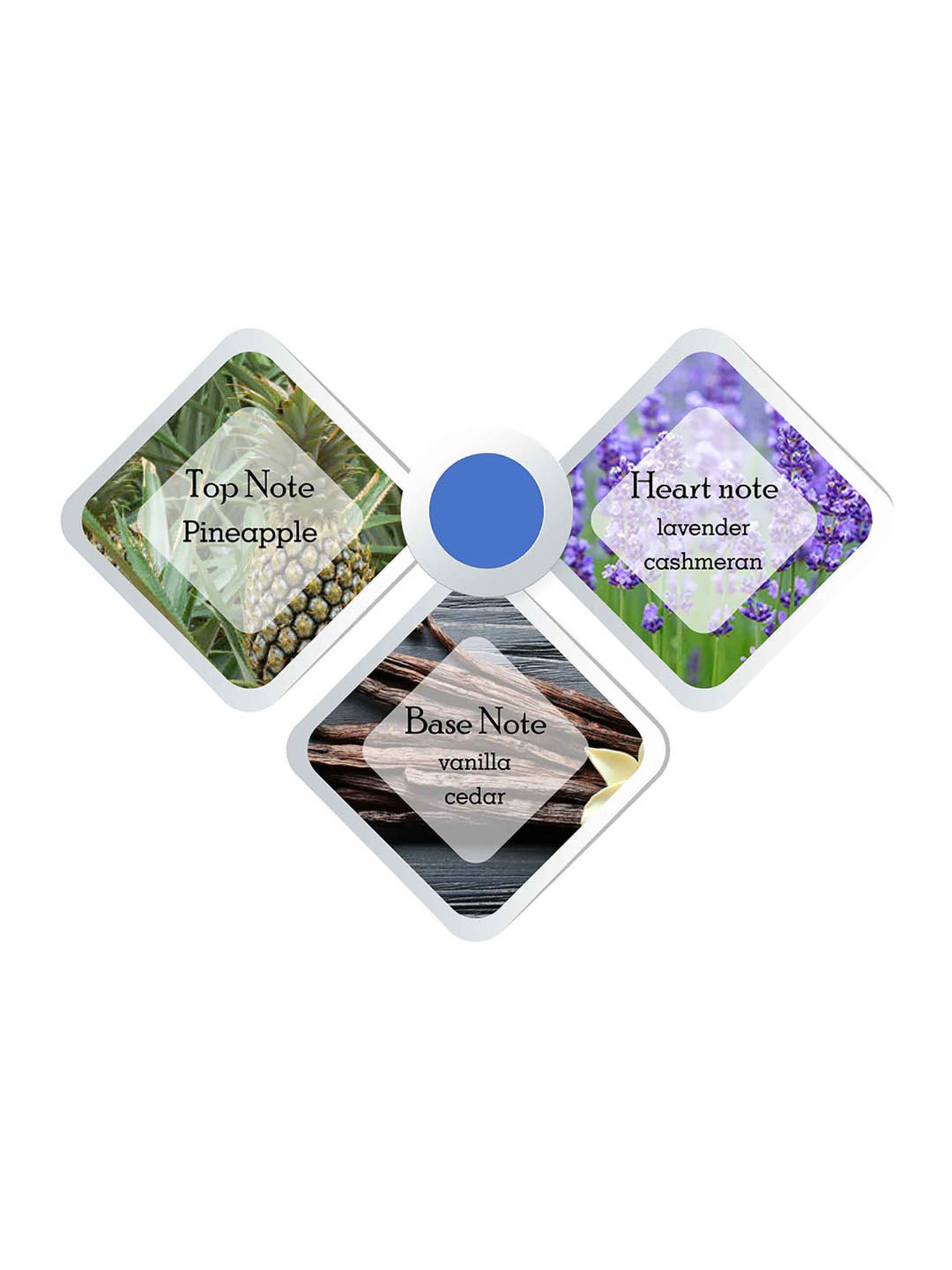 Playboy Generation Shower Gel and Shampoo for Men - Pack of 3