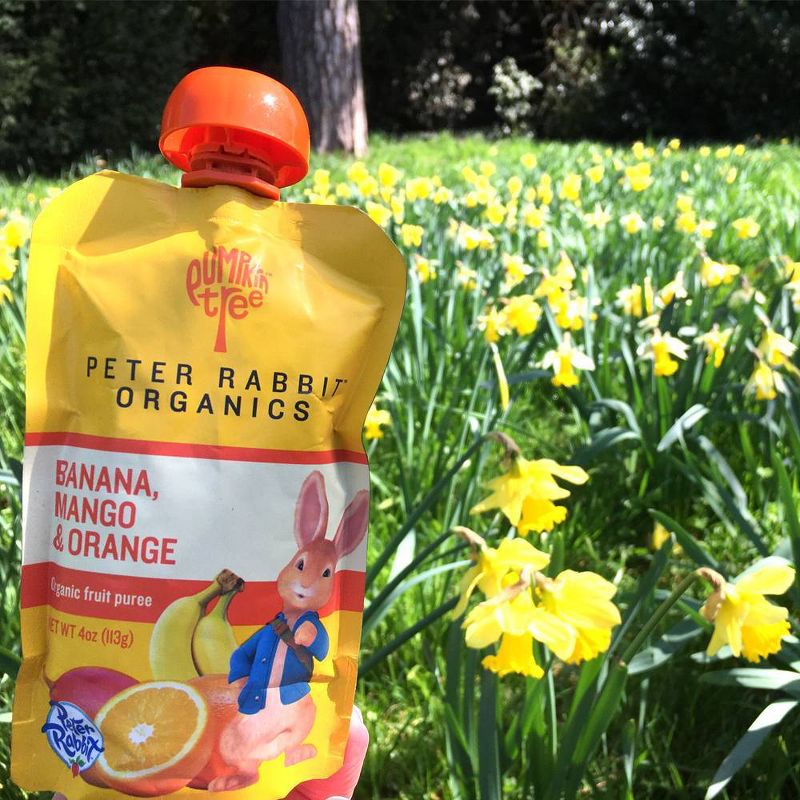 Peter Rabbit Organics Banana Mango & Orange Baby Food Pouch - 4oz
