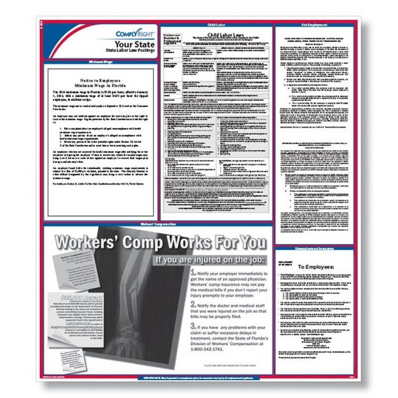 ComplyRight New Hampshire State Labor Law Poster, 24" x 37", Laminated - 1 per Pack