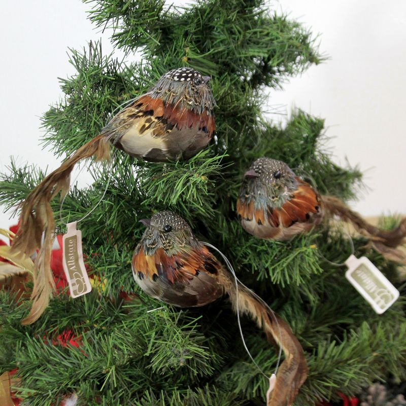 Holiday Ornament 3.0" Feathered Bird With Clip Speckles Head  -  Ornament Sets