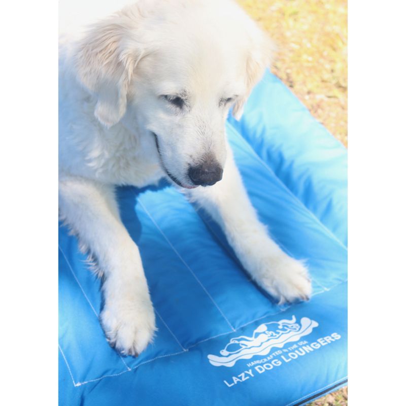 Lazy Dog Lounger Portable Puncture Resistant Durable Semi Submersible Water Float Pad for Pools and Lakes with Built In Attachment Loop, Blue (Small)