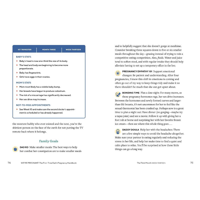 We're Pregnant! the First Time Dad's Pregnancy Handbook - by Adrian Kulp (Paperback)